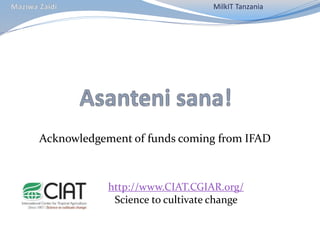 CIAT in Tanzania progress report