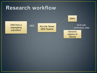 Getting to the root of domestication traits in carrot (Daucus carota L.) 