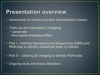 Getting to the root of domestication traits in carrot (Daucus carota L.) 