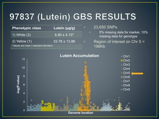 Getting to the root of domestication traits in carrot (Daucus carota L.) 