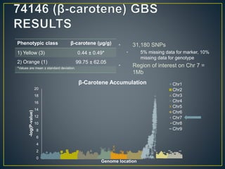 Getting to the root of domestication traits in carrot (Daucus carota L.) 