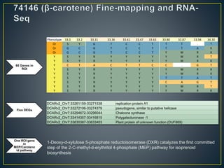 Getting to the root of domestication traits in carrot (Daucus carota L.) 