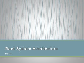 Getting to the root of domestication traits in carrot (Daucus carota L.) 