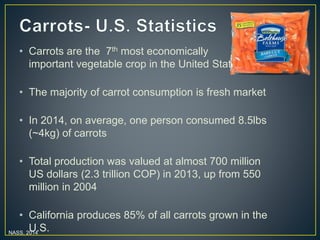 Getting to the root of domestication traits in carrot (Daucus carota L.) 