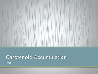 Getting to the root of domestication traits in carrot (Daucus carota L.) 