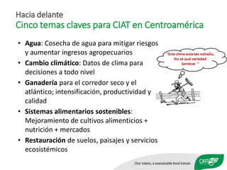 Celebrando50 añosde investigaciónagrícolapara el desarrollo