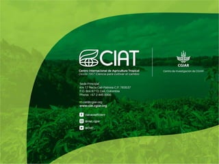 Celebrando50 añosde investigaciónagrícolapara el desarrollo