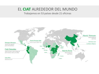 Celebrando50 añosde investigaciónagrícolapara el desarrollo