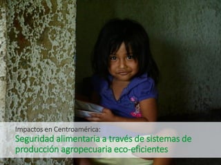 Celebrando50 añosde investigaciónagrícolapara el desarrollo