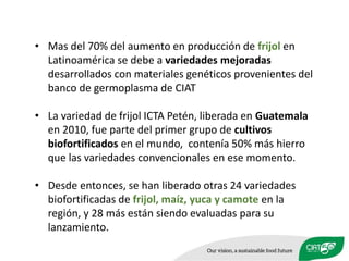 Celebrando50 añosde investigaciónagrícolapara el desarrollo