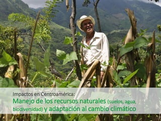 Celebrando50 añosde investigaciónagrícolapara el desarrollo