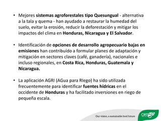 Celebrando50 añosde investigaciónagrícolapara el desarrollo