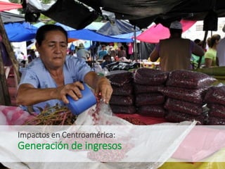 Celebrando50 añosde investigaciónagrícolapara el desarrollo