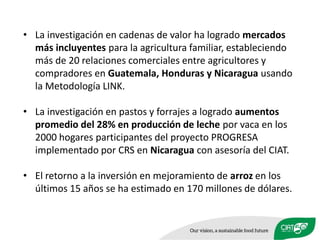 Celebrando50 añosde investigaciónagrícolapara el desarrollo