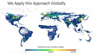 A Geospatial Analysis of Future Food Demand and Carbon- Preserving Cropland Expansion: Implications for Tropical Regions