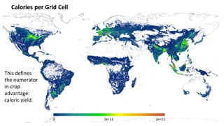 A Geospatial Analysis of Future Food Demand and Carbon- Preserving Cropland Expansion: Implications for Tropical Regions