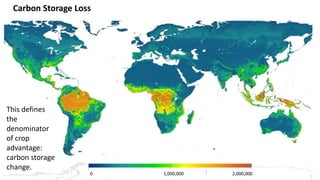 A Geospatial Analysis of Future Food Demand and Carbon- Preserving Cropland Expansion: Implications for Tropical Regions