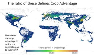 A Geospatial Analysis of Future Food Demand and Carbon- Preserving Cropland Expansion: Implications for Tropical Regions