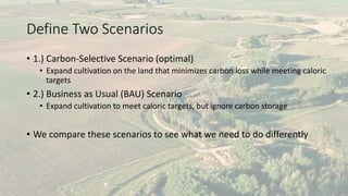 A Geospatial Analysis of Future Food Demand and Carbon- Preserving Cropland Expansion: Implications for Tropical Regions
