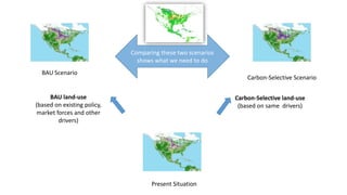A Geospatial Analysis of Future Food Demand and Carbon- Preserving Cropland Expansion: Implications for Tropical Regions