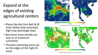 A Geospatial Analysis of Future Food Demand and Carbon- Preserving Cropland Expansion: Implications for Tropical Regions