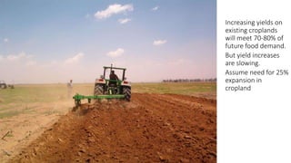 A Geospatial Analysis of Future Food Demand and Carbon- Preserving Cropland Expansion: Implications for Tropical Regions