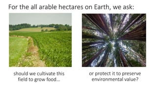 A Geospatial Analysis of Future Food Demand and Carbon- Preserving Cropland Expansion: Implications for Tropical Regions