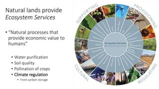 A Geospatial Analysis of Future Food Demand and Carbon- Preserving Cropland Expansion: Implications for Tropical Regions