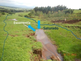 Saturado
Escorrentía
 