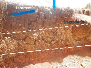 Escorrentía
Degradado
 