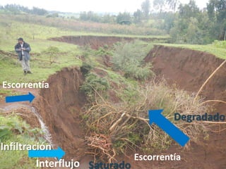 Escorrentía
Escorrentía
Interflujo Saturado
Degradado
Infiltración
 