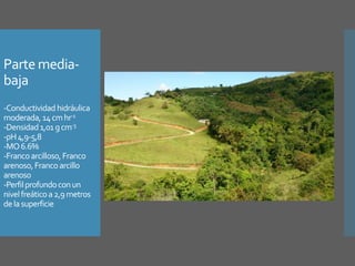 Parte media-
baja
-Conductividadhidráulica
moderada, 14cmhr-1
-Densidad1,01gcm-3
-pH4,9-5,8
-MO6.6%
-Francoarcilloso,Franco
arenoso,Francoarcillo
arenoso
-Perfilprofundoconun
nivelfreáticoa2,9metros
delasuperficie
 