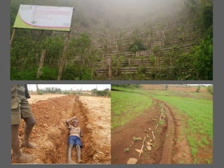 Investigación en Manejo de Suelos en Cuencas Hidrográficas