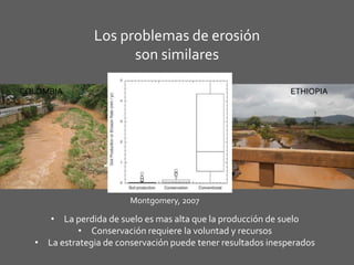 Investigación en Manejo de Suelos en Cuencas Hidrográficas