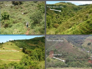 Investigación en Manejo de Suelos en Cuencas Hidrográficas