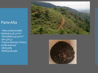 Investigación en Manejo de Suelos en Cuencas Hidrográficas