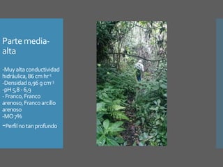 Investigación en Manejo de Suelos en Cuencas Hidrográficas