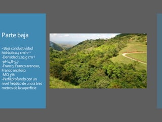 Investigación en Manejo de Suelos en Cuencas Hidrográficas