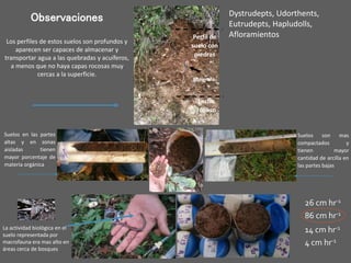 Investigación en Manejo de Suelos en Cuencas Hidrográficas