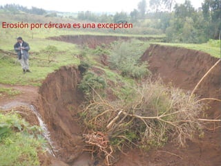 Investigación en Manejo de Suelos en Cuencas Hidrográficas