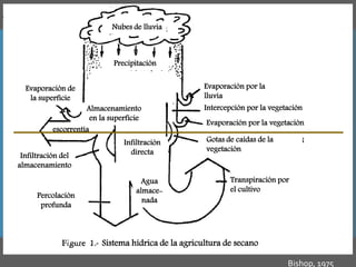 Investigación en Manejo de Suelos en Cuencas Hidrográficas
