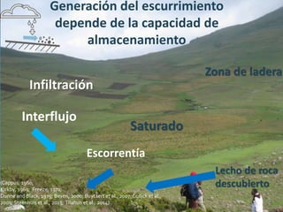 Investigación en Manejo de Suelos en Cuencas Hidrográficas