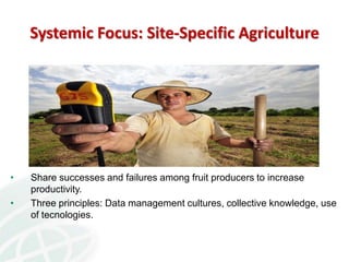 Knowledge Management in Agricultural Research in the CGIAR and CIAT: lessons learnt and Future Opportunities 