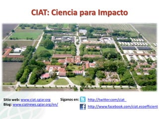 Knowledge Management in Agricultural Research in the CGIAR and CIAT: lessons learnt and Future Opportunities 