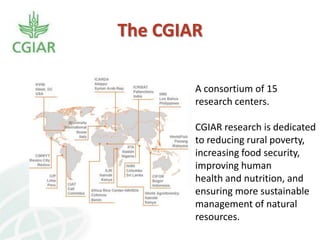 Knowledge Management in Agricultural Research in the CGIAR and CIAT: lessons learnt and Future Opportunities 