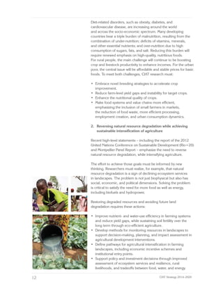 CIAT Strategy 2014–2020: Building Future an Eco-Efficient