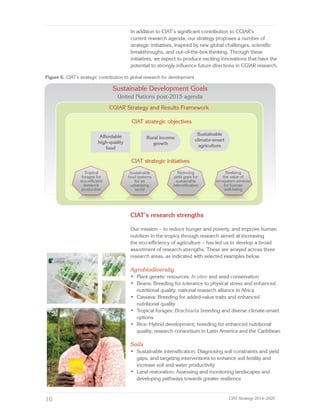 CIAT Strategy 2014–2020: Building Future an Eco-Efficient
