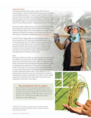 CIAT Strategy 2014–2020: Building Future an Eco-Efficient