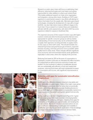 CIAT Strategy 2014–2020: Building Future an Eco-Efficient