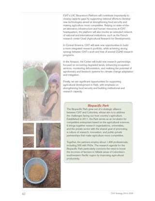 CIAT Strategy 2014–2020: Building Future an Eco-Efficient